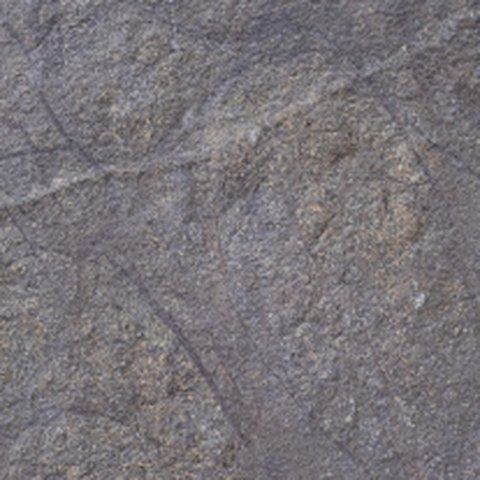 CL-LS-01